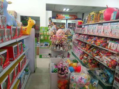 携手淘淘虎玩具，解锁儿童早教玩具的财富密码